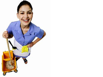 Services de m&eacute;nage